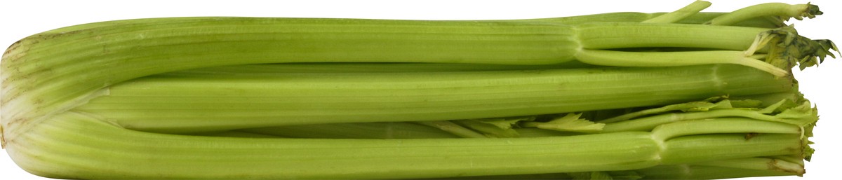 slide 2 of 2, Produce Organic Celery 1 ea, 1 ct