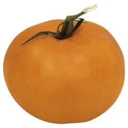 Orange Tomatoes On The Vine