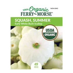 Early White Bush Scallop Organic Squash