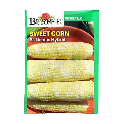 slide 1 of 1, Burpee Sweet Corn Bi-Licious Hybrid Vegetable Seeds, 1 ct