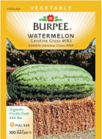 slide 1 of 1, Burpee Watermelon Seeds, Carolina Cross, 1 ct