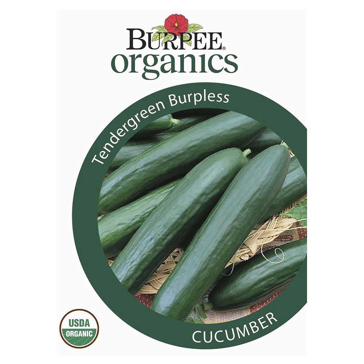 slide 1 of 5, Burpee Organic Cucumber Tendergreen Seeds, 1 ct