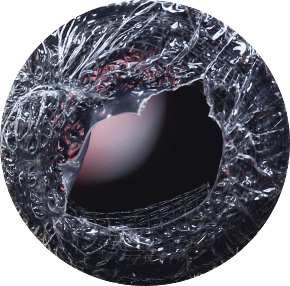 slide 5 of 6, Phifer Screen 1 ea, 1 ct