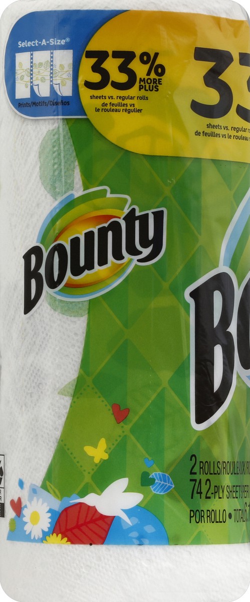 slide 2 of 5, Bounty Paper Towels 2 ea, 2 ct