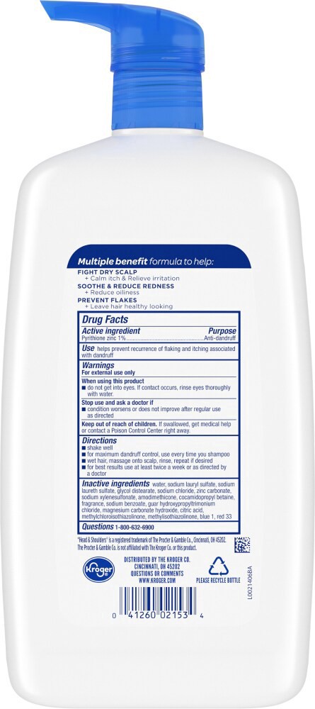 slide 2 of 2, Kroger Everyday Clean Dandruff Shampoo, 28.2 fl oz