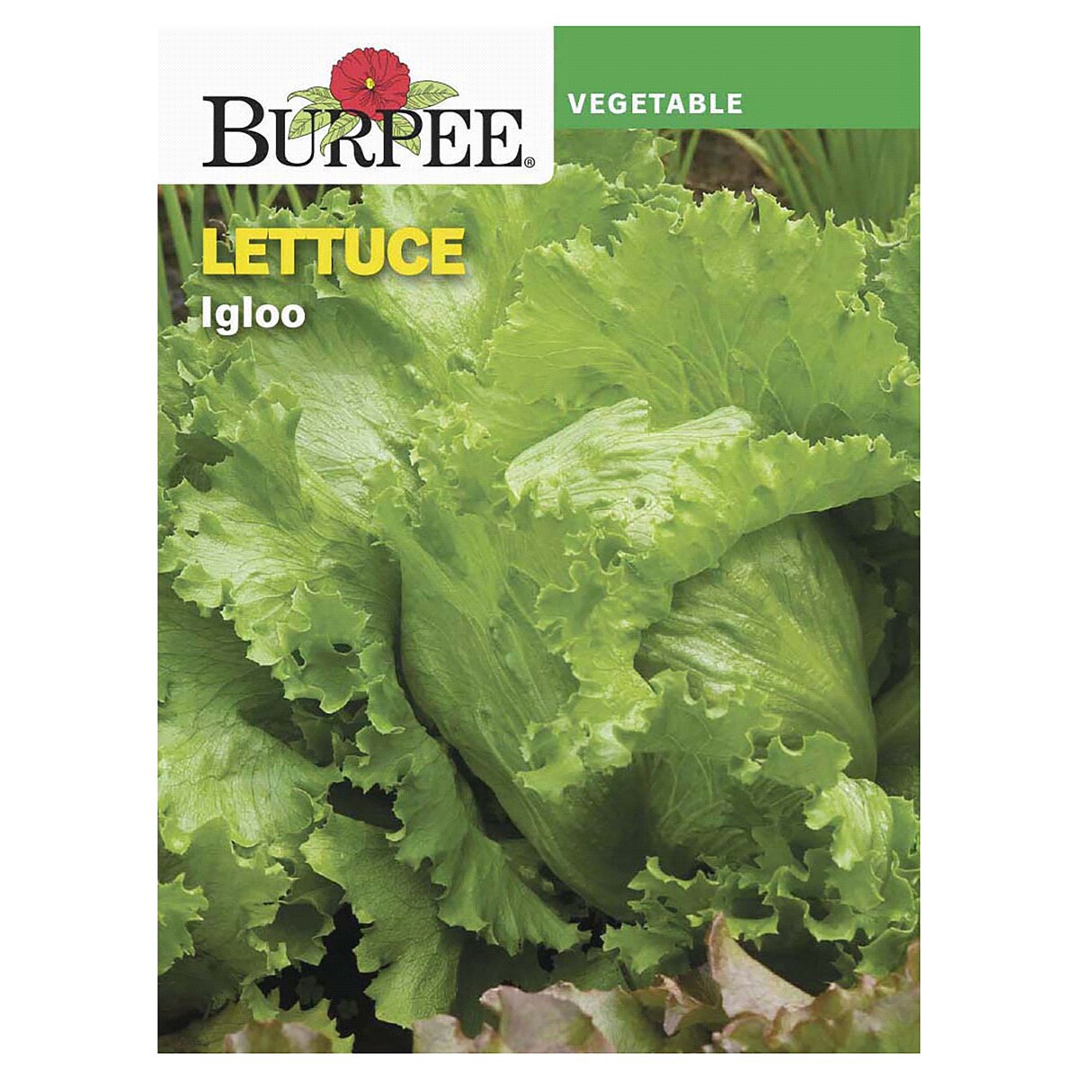 slide 1 of 5, Burpee Lettuce Igloo Seeds, 1 ct