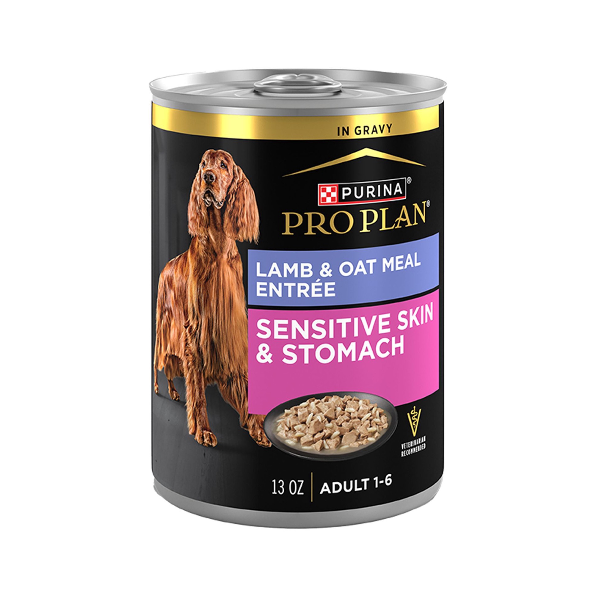 slide 1 of 1, Purina Pro Plan Sensitive Skin and Stomach Lamb and Oat Meal Entree in Gravy Dog Food, 13 oz