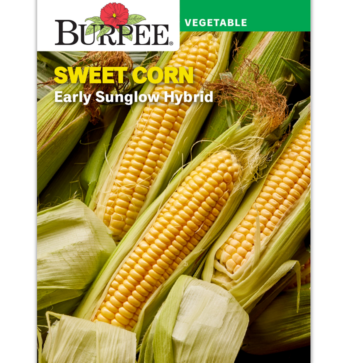 slide 1 of 1, Burpee Sweet Corn Early Sunglow Hybrid Vegetable Seeds, 1 ct