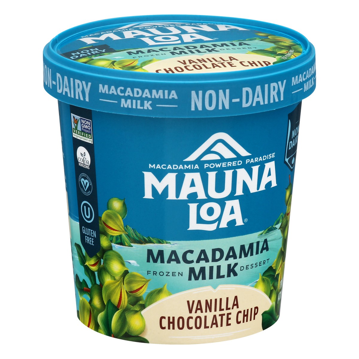 slide 2 of 9, Mauna Loa Non Dairy Macadamia Milk Vanilla Chocolate Chip Frozen Dessert, 1 pint