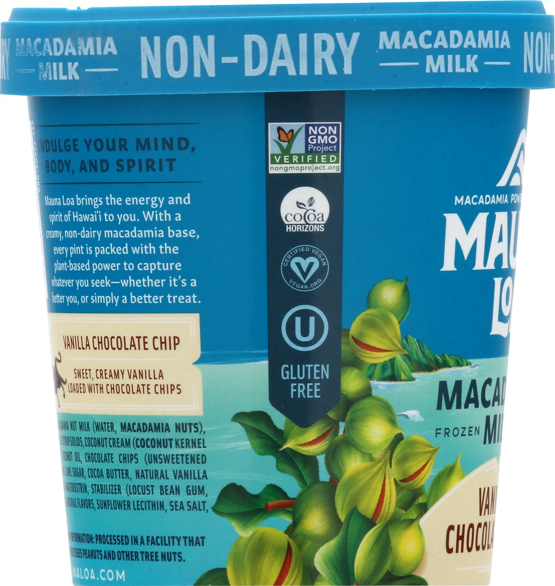 slide 7 of 9, Mauna Loa Non Dairy Macadamia Milk Vanilla Chocolate Chip Frozen Dessert, 1 pint