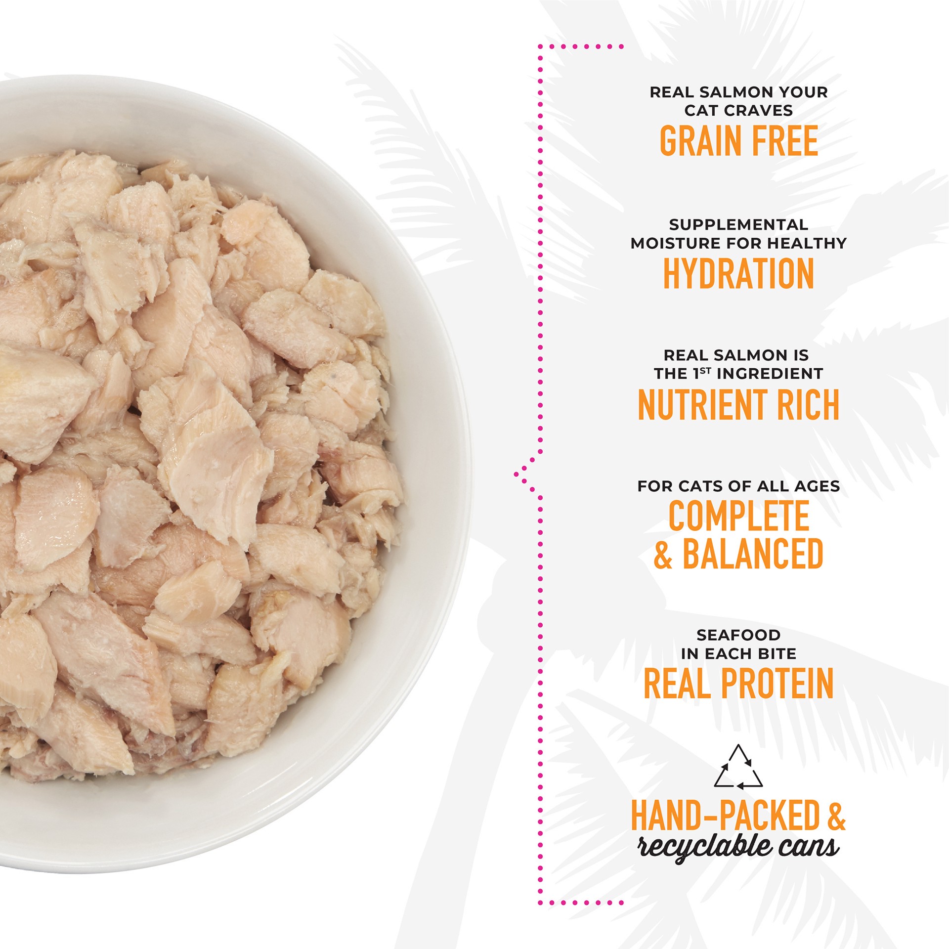 slide 5 of 7, Tiki Cat Luau Wet Cat Food, Wild Salmon, 6 oz. Can, 6 oz