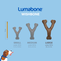 slide 9 of 16, LumaBone Large Bacon Durable Chew 1 ea, LG