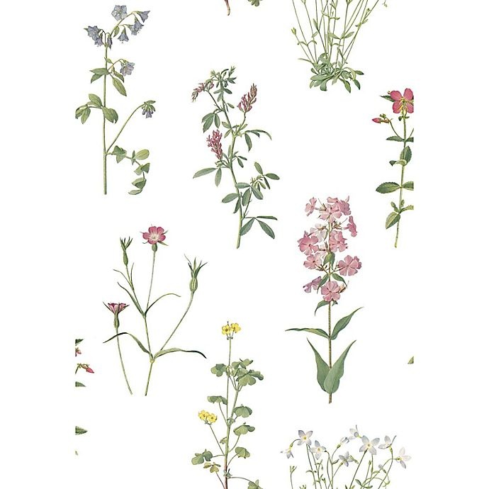 slide 5 of 9, RoomMates Botanical Print Peel & Stick Wallpaper - Green/Pink, 1 ct