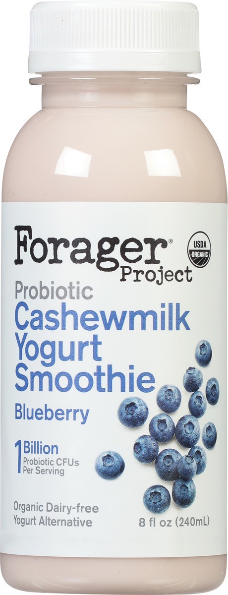 slide 9 of 9, Forager Project Organic Dairy-Free Probiotic Blueberry Yogurt Alternative 8 fl oz, 8 oz