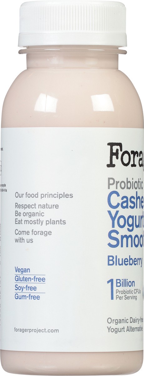 slide 2 of 9, Forager Project Organic Dairy-Free Probiotic Blueberry Yogurt Alternative 8 fl oz, 8 oz