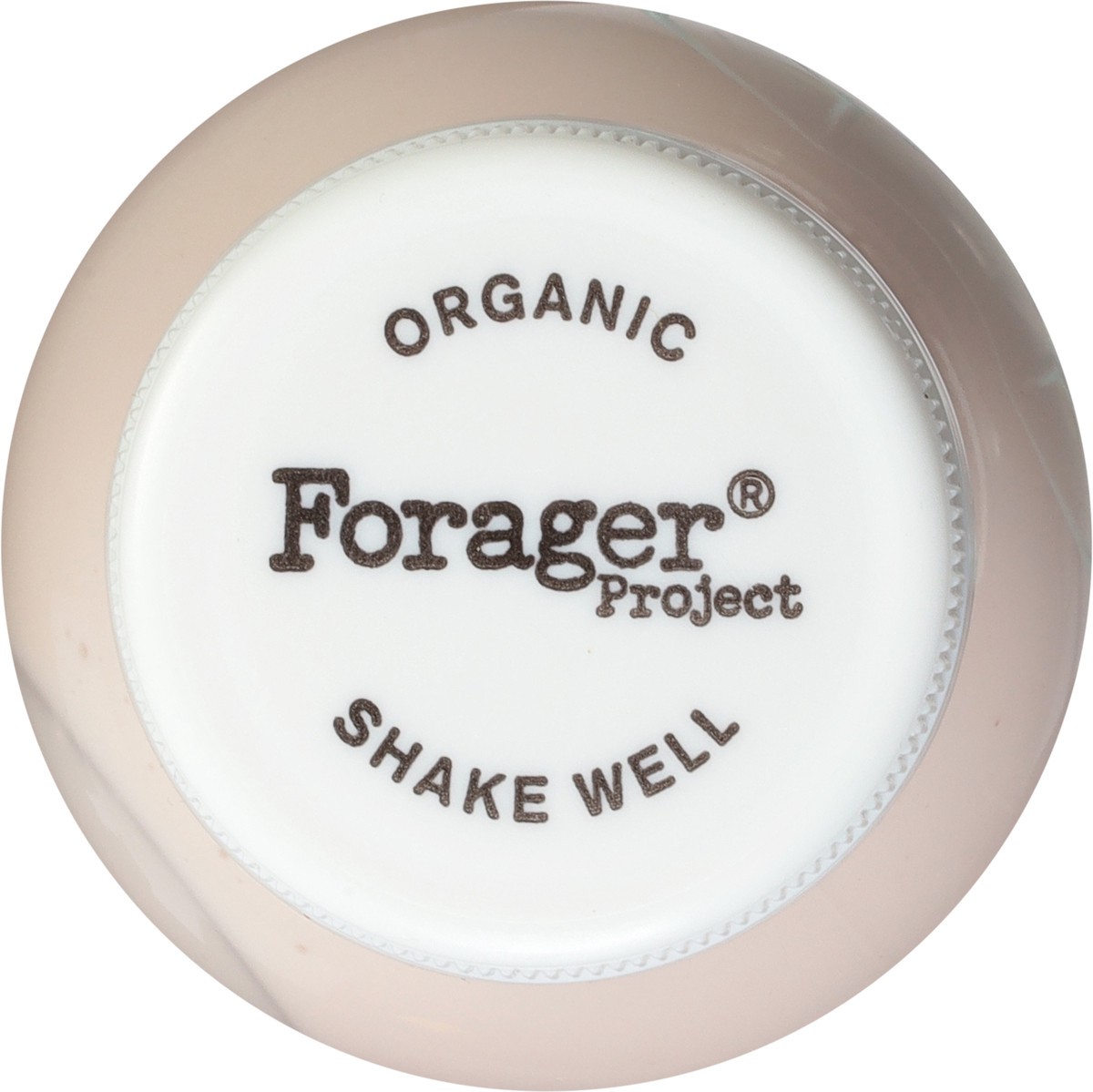 slide 8 of 9, Forager Project Organic Dairy-Free Probiotic Blueberry Yogurt Alternative 8 fl oz, 8 oz