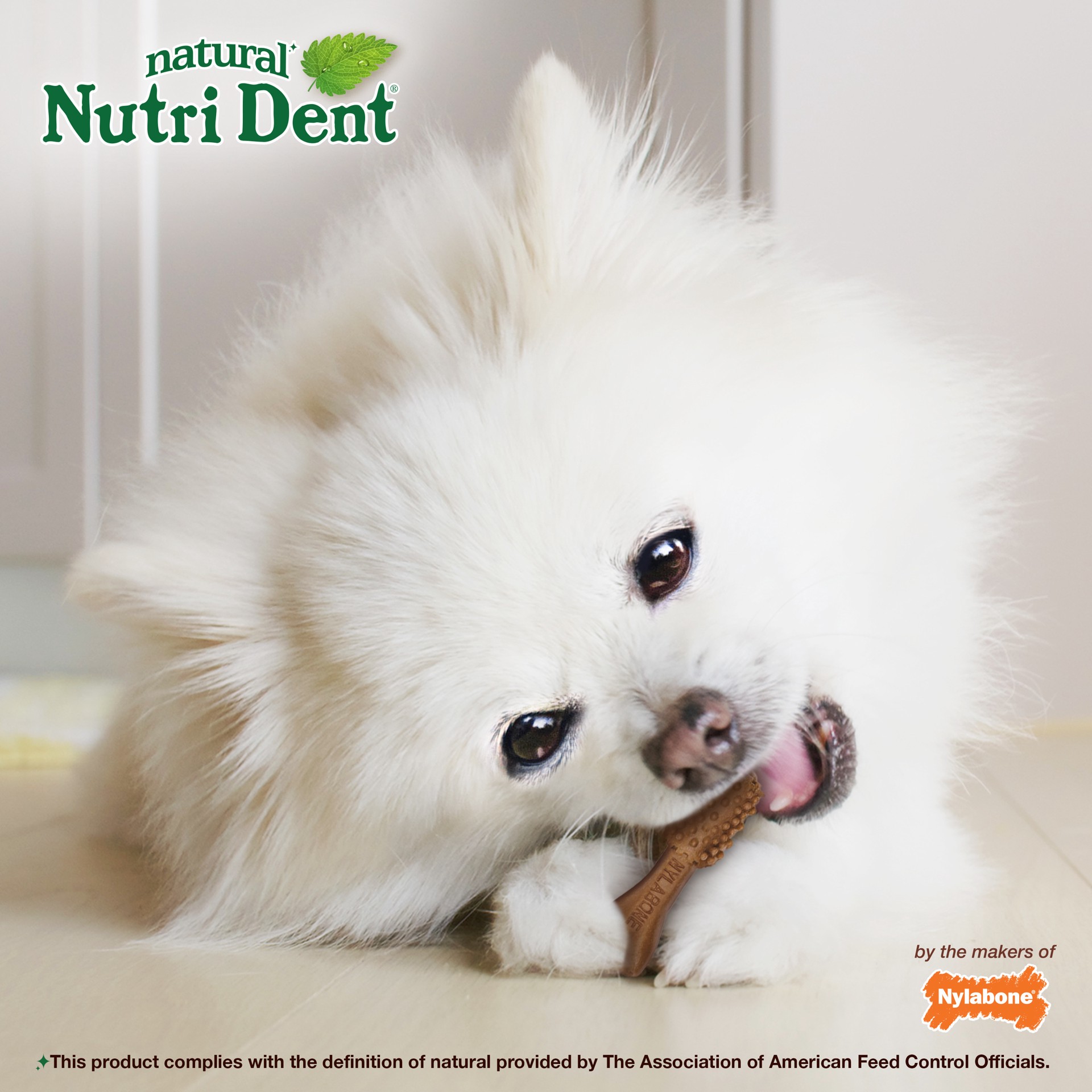 slide 8 of 10, Nylabone Nutri Dent Filet Mignon Dog Dental Chews Mini - 5 lbs. to 10 lbs.(32 Count), 32 ct