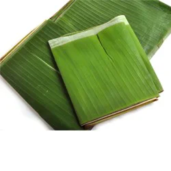 Melissas Banana Leaves