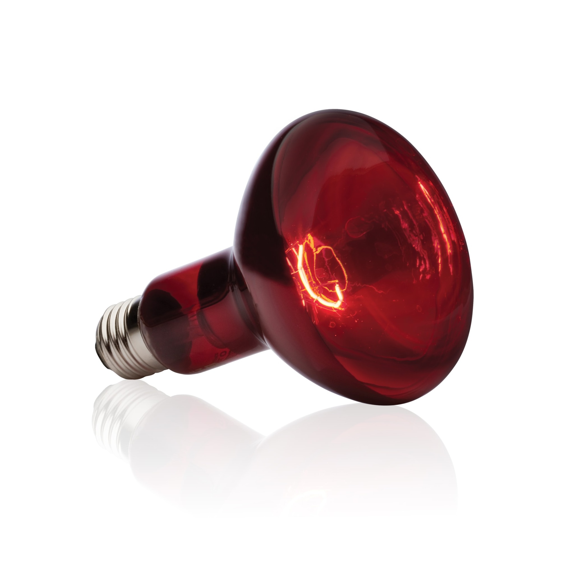 slide 1 of 1, Exo-Terra Infrared Basking Spot Lamp, 1 ct