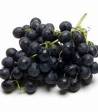 Black Seedless Grapes