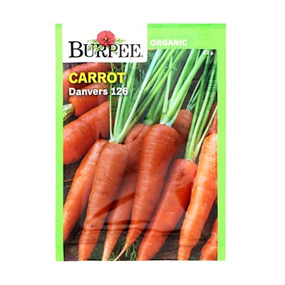 slide 1 of 1, Burpee Danvers 126 Carrot Seeds, 1 ct