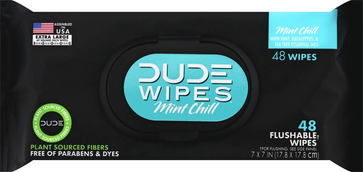 slide 8 of 9, DUDE Flushable Mint Chill XL Wipes 48 Each, 48 ct