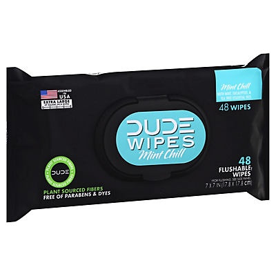 slide 1 of 1, Dude Wipes Mint Chill Flushable Wipes, 48 ct