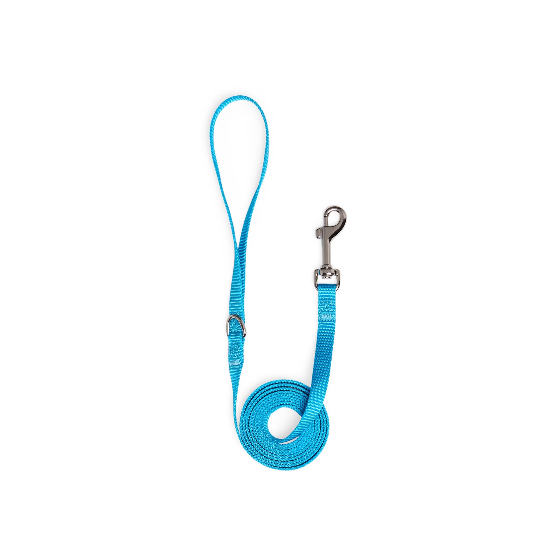 slide 1 of 1, YOULY Nylon Dog Leash, Neon Blue, 6-ft long, 1/2-in wide, 6 ft