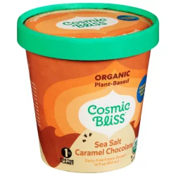 Cosmic Bliss Organic Salted Caramel Chocolate Coconut Frozen Dessert