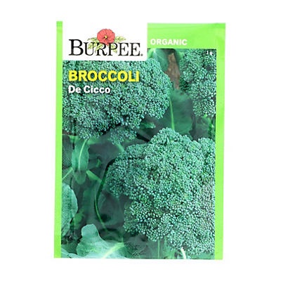 slide 1 of 1, Burpee De Cicco Broccoli Seeds, 1 ct