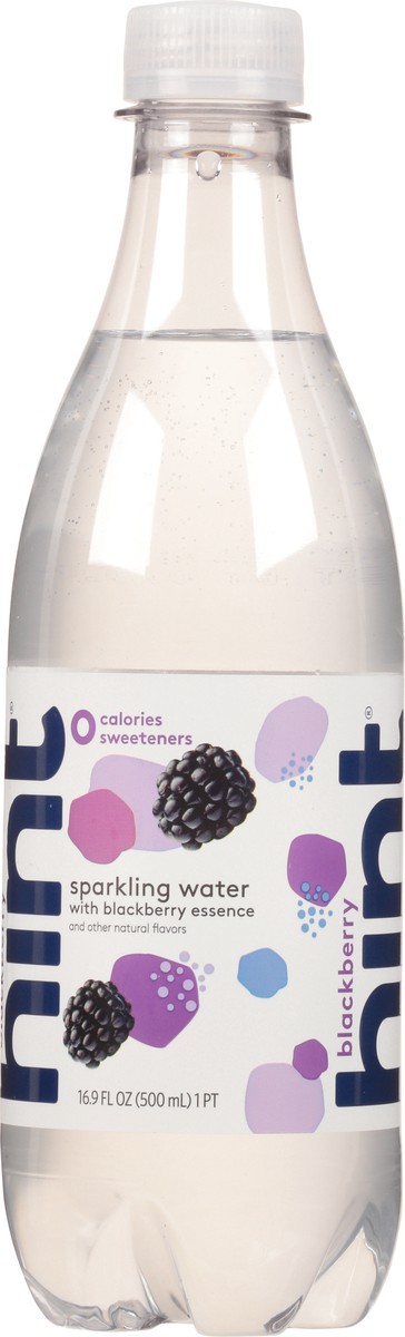 slide 8 of 11, Hint Blackberry Sparkling Water - 16.9 fl oz, 16.9 fl oz