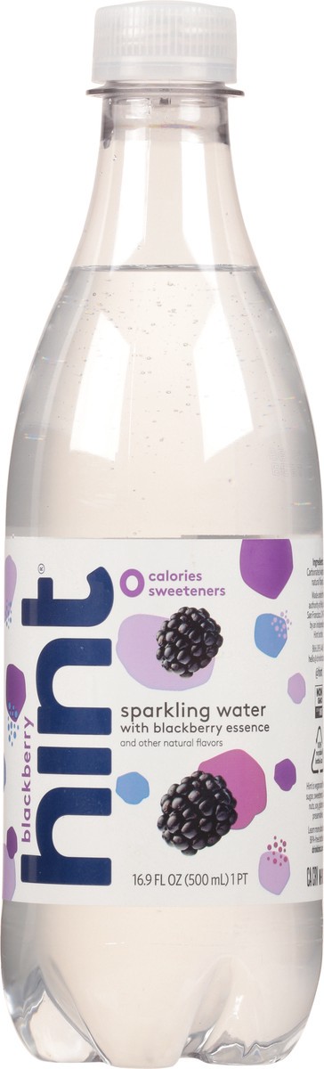 slide 10 of 11, Hint Blackberry Sparkling Water - 16.9 fl oz, 16.9 fl oz