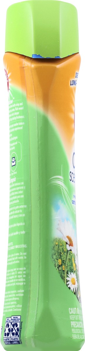 slide 3 of 6, ARM & HAMMER Scent Booster, In-Wash, Clean Meadow, 18 oz