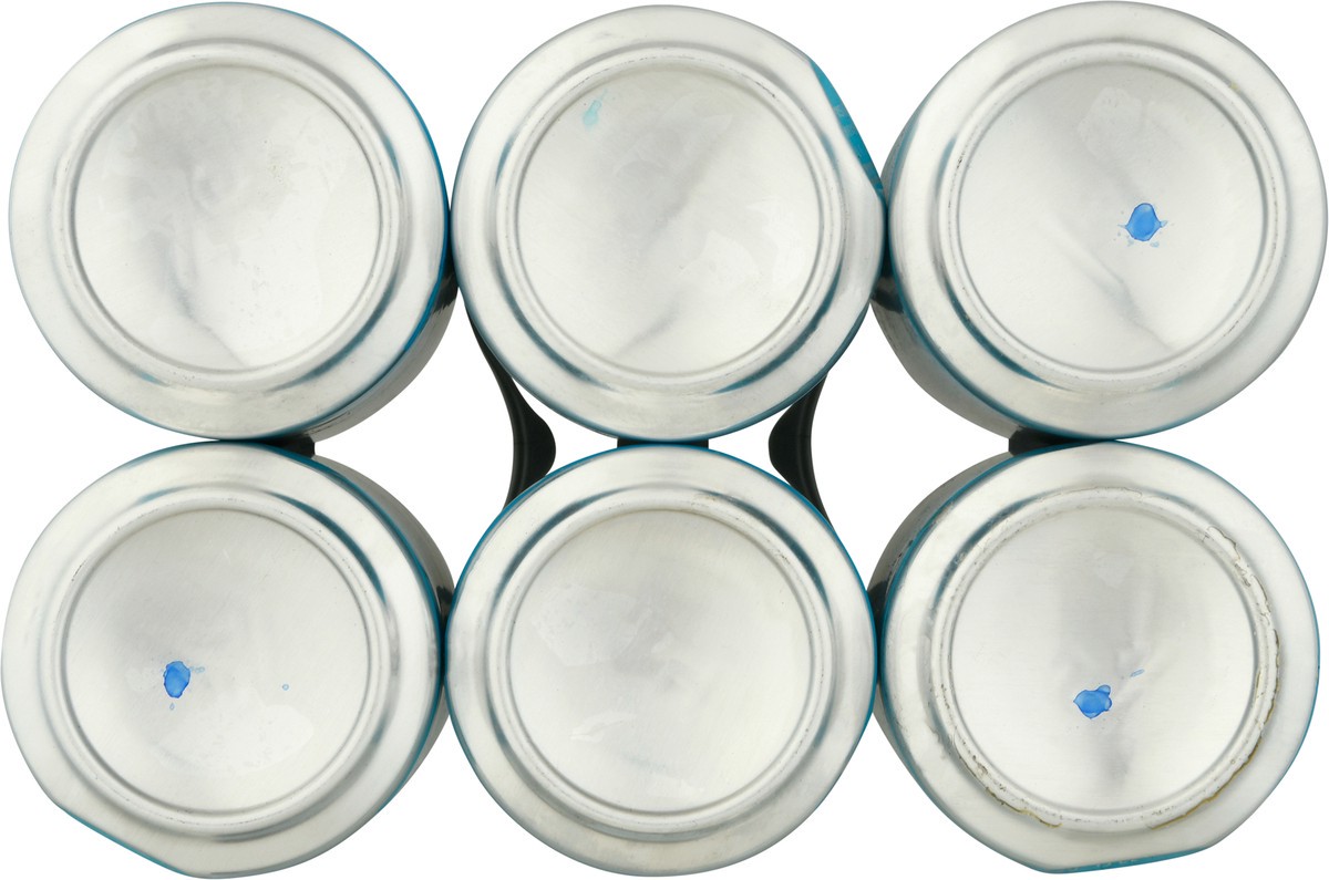 slide 4 of 11, Reuben's Brews Pilsner Beer 6 ea, 6 ct