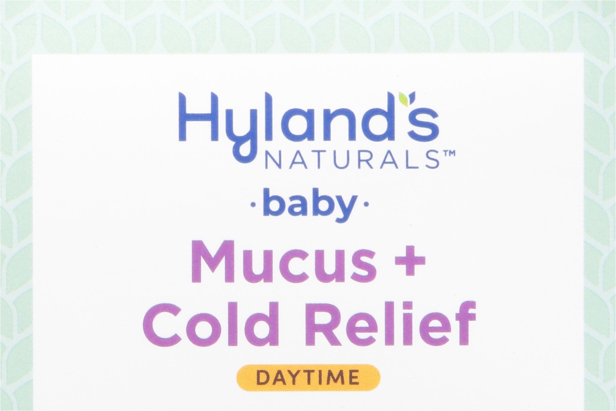 slide 12 of 13, Hyland's Naturals Baby 6+ Months Daytime Mucus + Cold Relief 4 fl oz, 4 fl oz