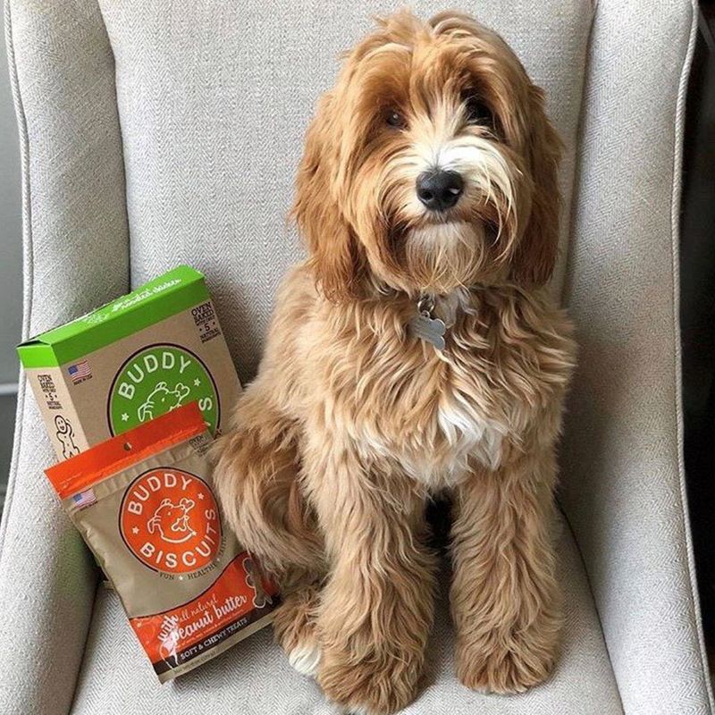 slide 4 of 8, Buddy Softies Soft & Chewy Oven-Baked Treats for Dogs with Natural Peanut Butter 6 oz, 6 oz