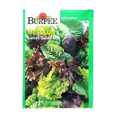 slide 1 of 1, Burpee Mesclun Sweet Salad Mix Seeds, 1 ct