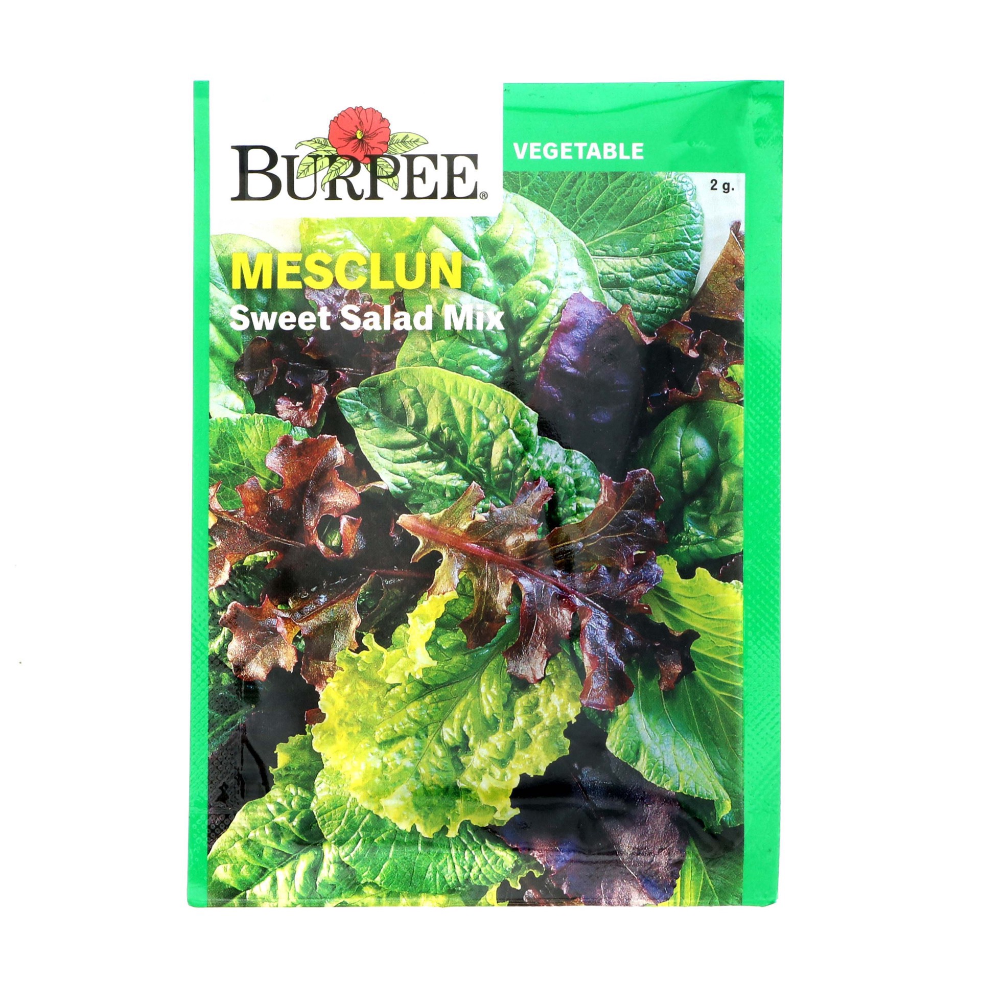 slide 1 of 1, Burpee Mesclun Sweet Salad Mix Seeds, 1 ct