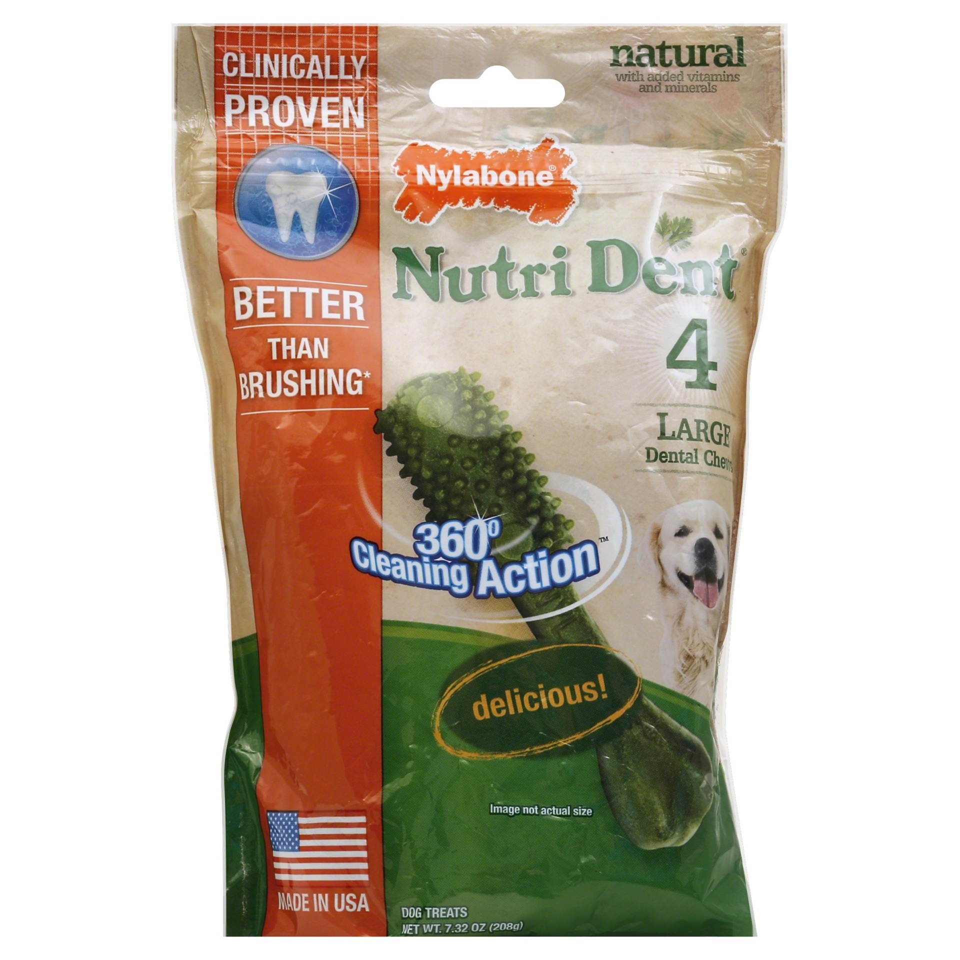 slide 1 of 1, Nylabone Nutri Dent Brush Bone, 4 ct