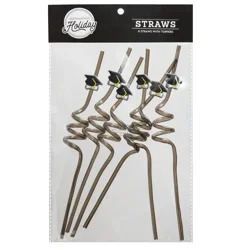 Destination Holiday Graduation 2026 Party Straws