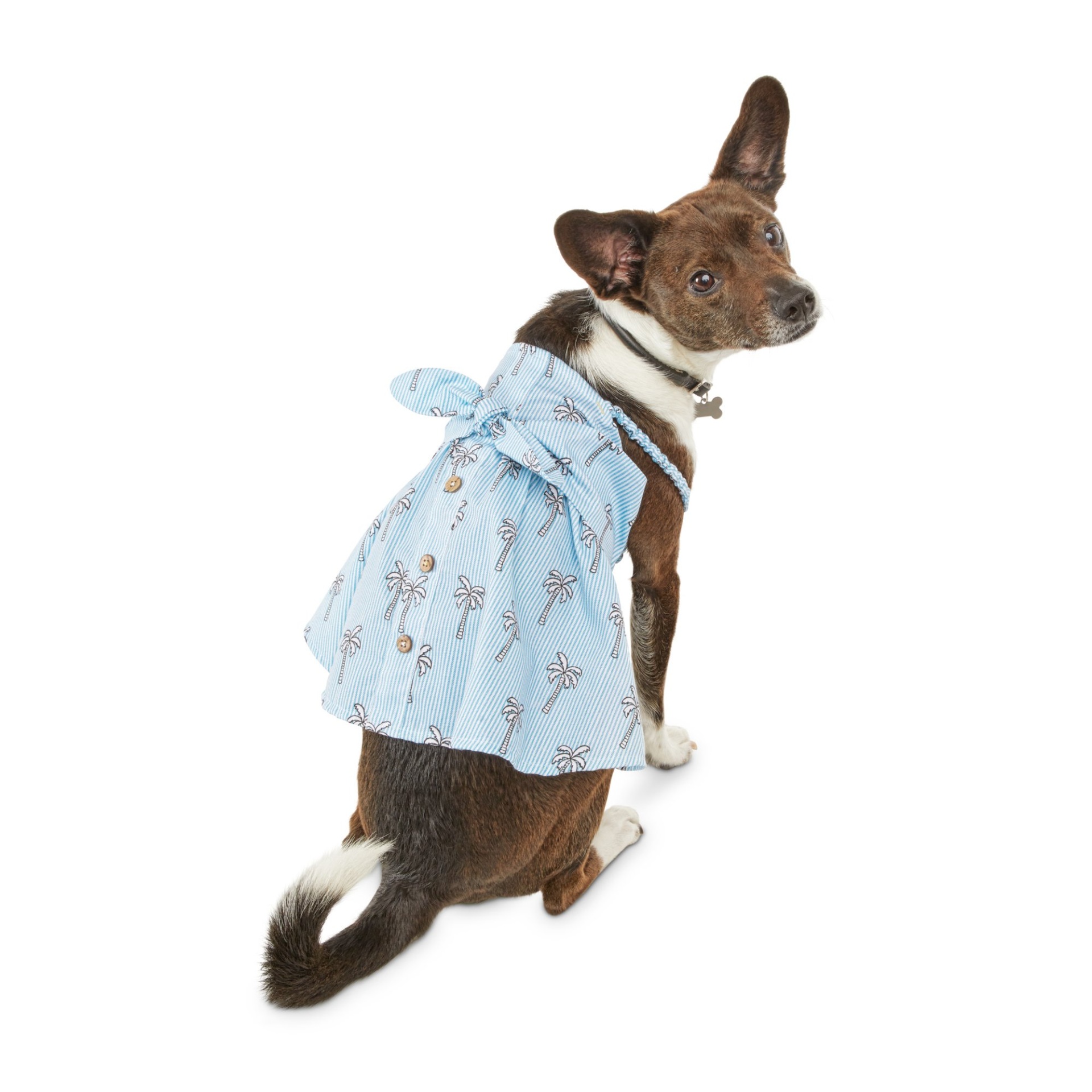 slide 1 of 1, Bond & Co. Blue Poplin Resort Dog Dress, MED