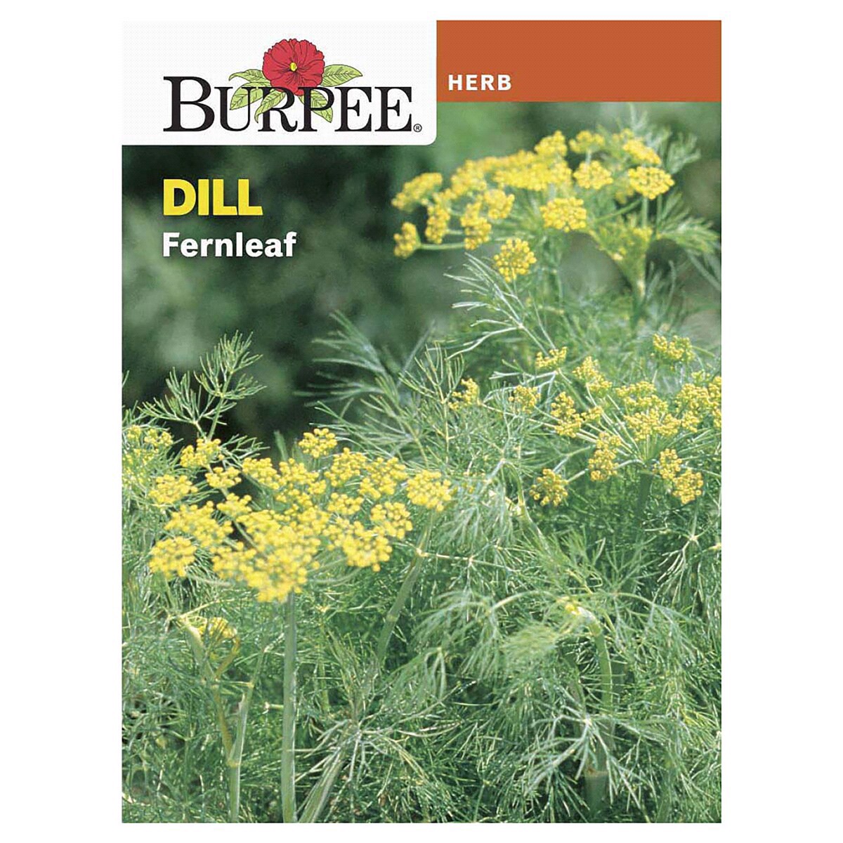 slide 1 of 5, Burpee Dill Fernleaf Anethum Graveolens Seeds, 1 ct