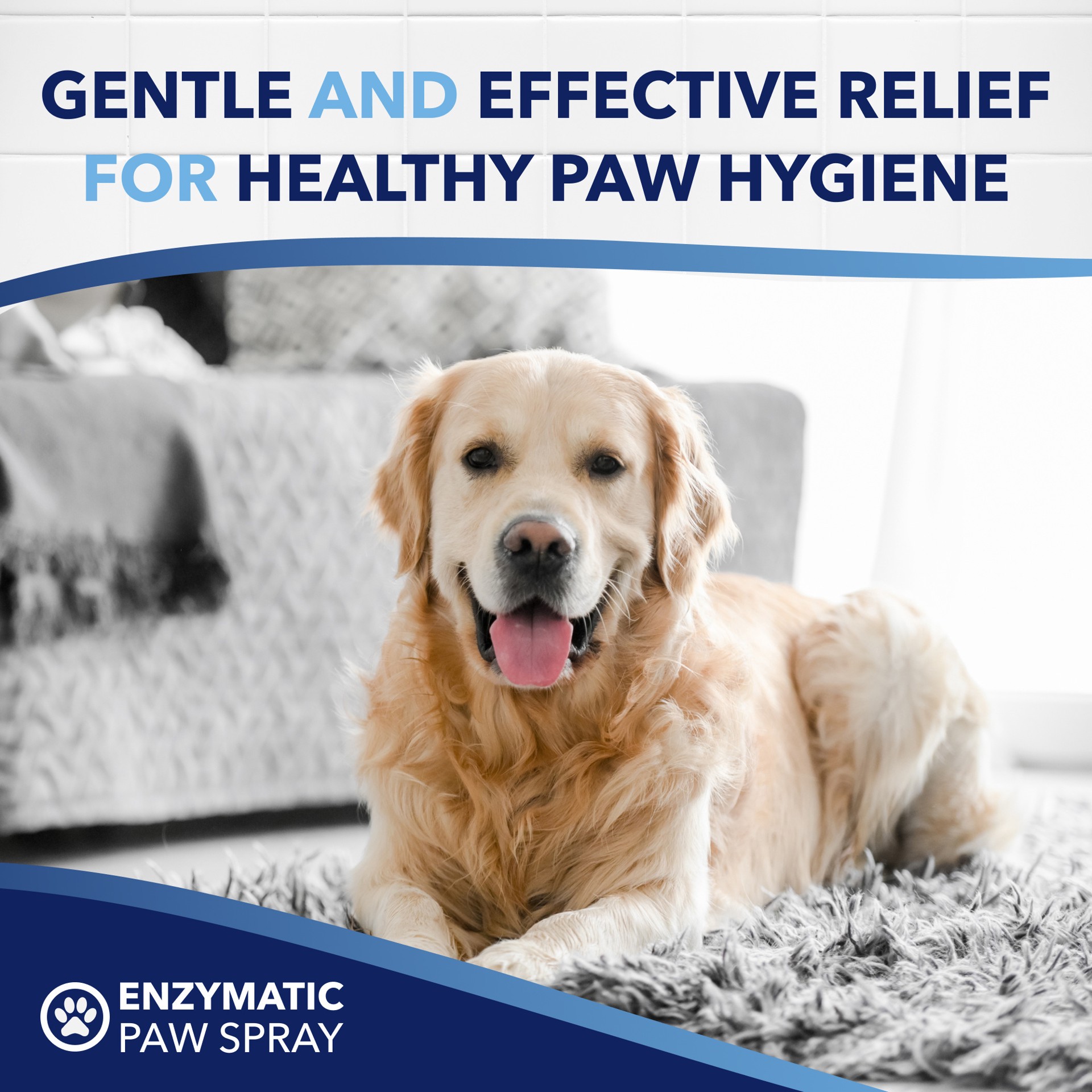 slide 4 of 8, TropiClean OxyMed Enzymatic Paw Odor and Itch Spray, 8oz, 8 oz