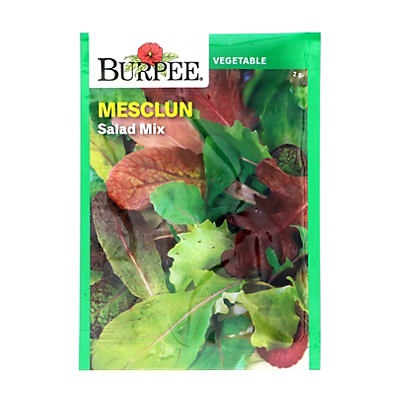 slide 1 of 1, Burpee Mesclun Salad Mix Seeds, 1 ct