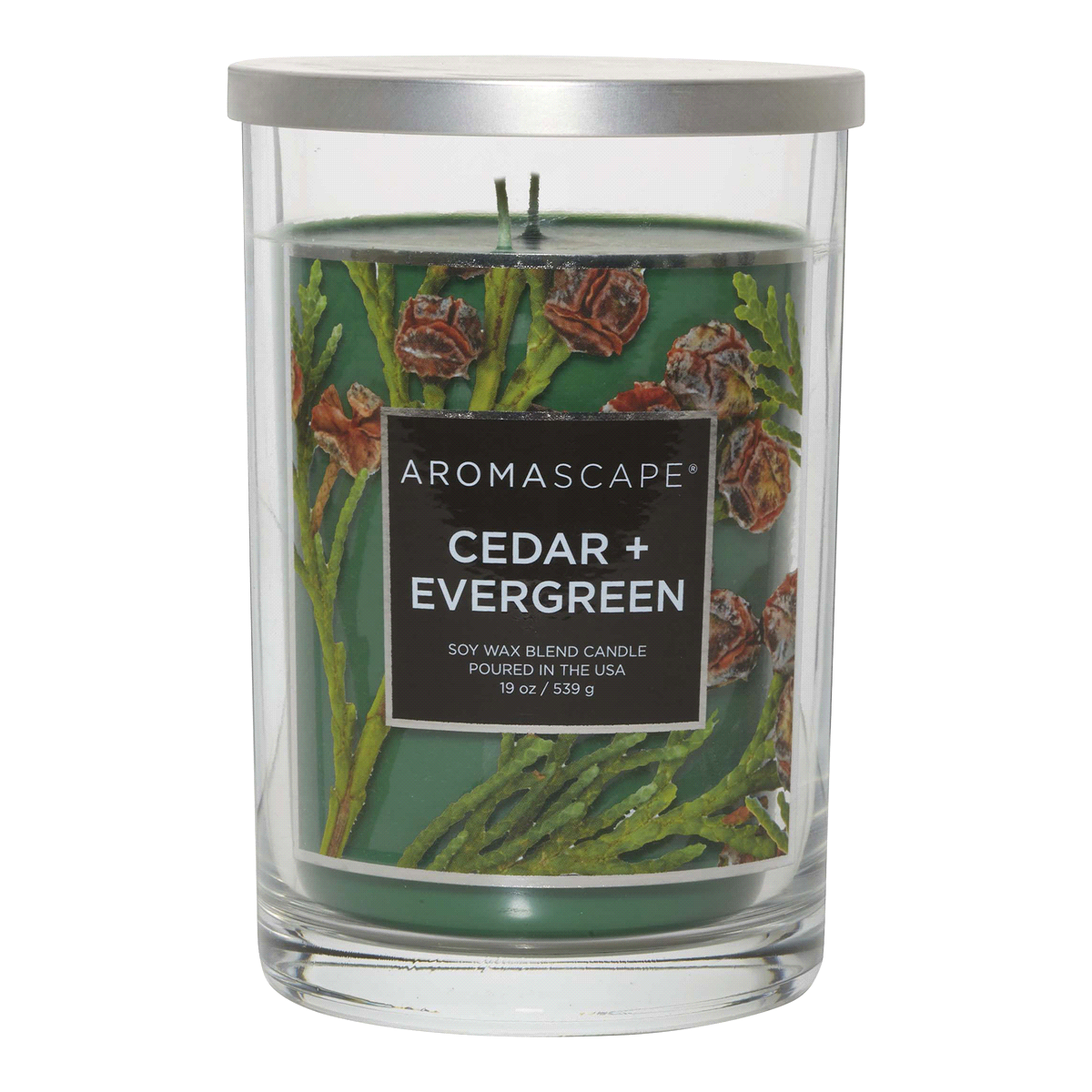 slide 1 of 1, Chesapeake Bay Candle Aromascape Jar Candle Cedar + Evergreen, 19 oz