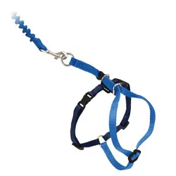 PetSafe Gentle Leader Come with Me Kitty Harness & Bungee Leash in Blue