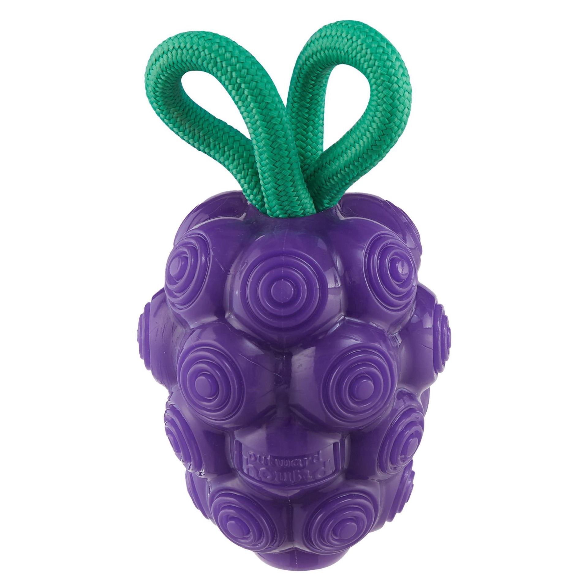 slide 1 of 1, Outward Hound Dental Grapes 1 ea, 1 ct