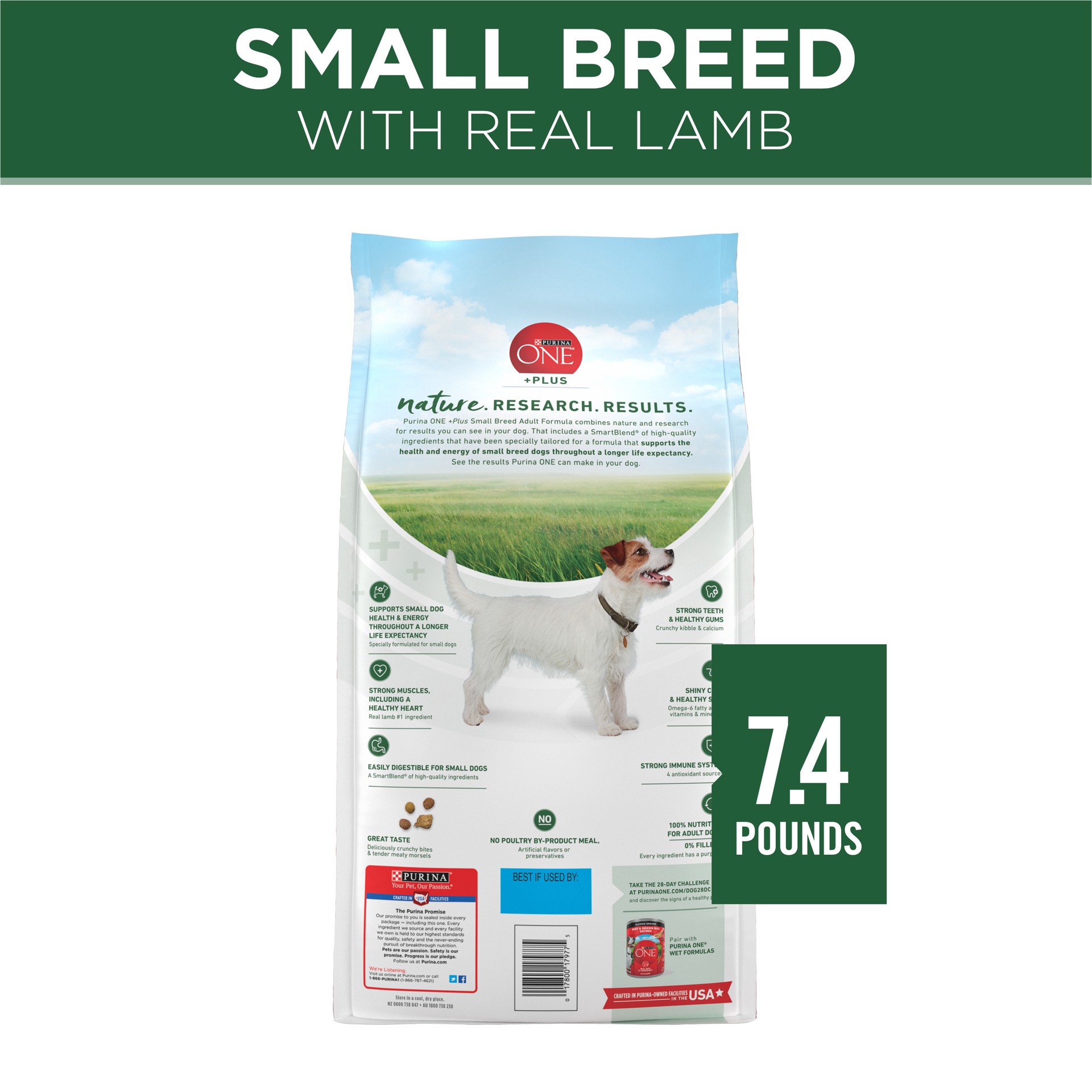 slide 2 of 9, ONE Purina ONE Plus Small Breed Lamb and Rice Formula Dry Dog Food, 7.4 lb