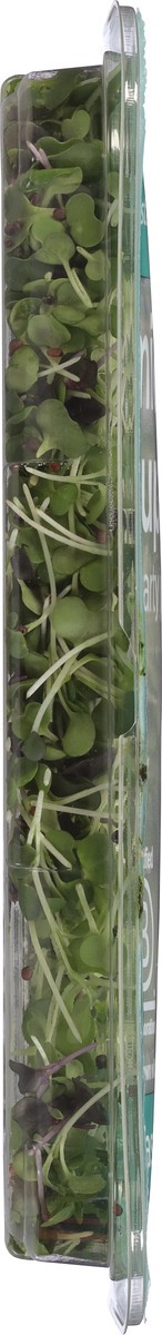 slide 4 of 12, AeroFarms Micro Super Mix 2 oz, 2 oz