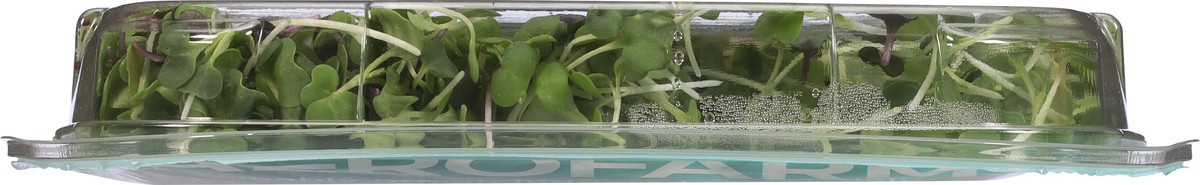 slide 6 of 12, AeroFarms Micro Super Mix 2 oz, 2 oz